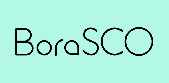 Логотип BORASCO