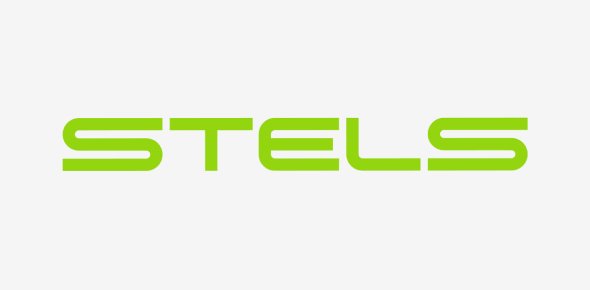 Логотип STELS