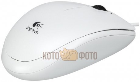 Мышь Logitech B100 белый - фото 2