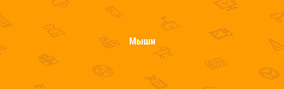 Мыши