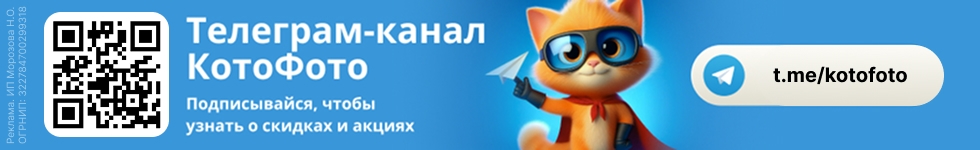 Телеграм-канал Котофото