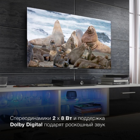 Телевизор Hyundai 65' H-LED65BU7003 черный - фото 14