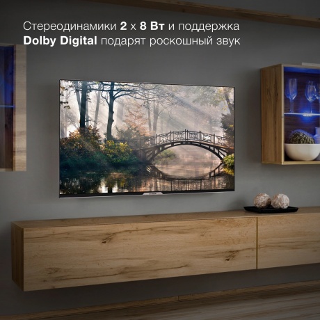 Телевизор Hyundai 43" H-LED43BU7003 черный - фото 20