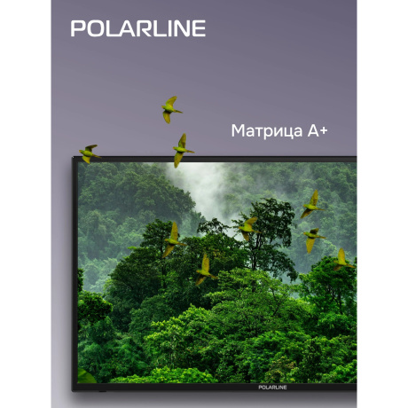 Телевизор PolarLine 32PL53TC-SM черный - фото 14