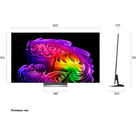 Телевизор LG OLED 55" 4K OLED55G6RLA.ARU - фото 4
