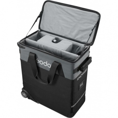 Осветитель светодиодный Godox Knowled P300R K1 - фото 9