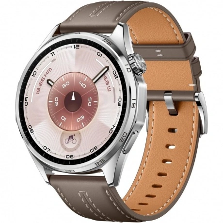 Умные часы Huawei Watch GT 6 (55020FWE) Grey Composite