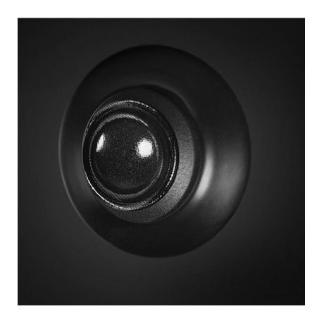 Акустическая система Sven MC-10 SV-014018 Black - фото 2