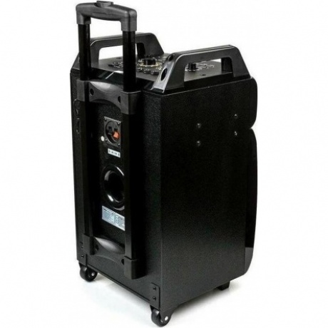 Акустическая система Dialog AO-210 Black - фото 2