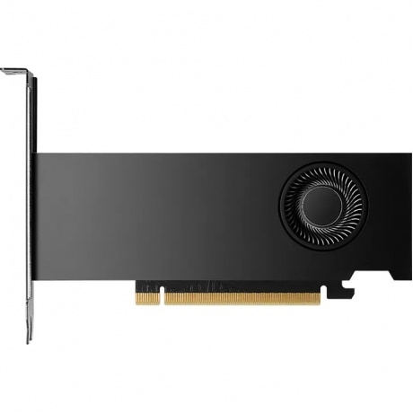 Видеокарта PNY NVIDIA 2000 Ada 16GB LowProfile OEM Version - фото 1