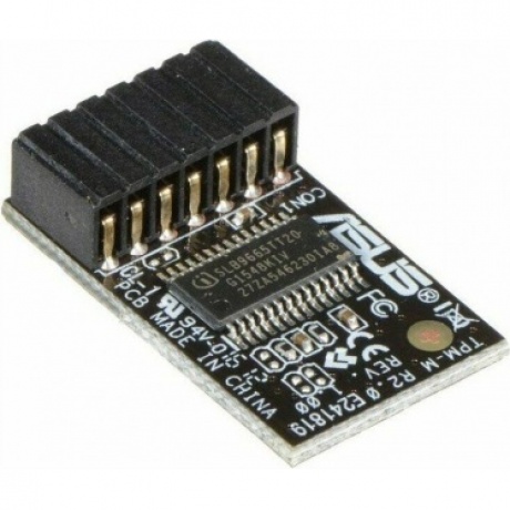 Модуль Asus TPM-M R2.0 OEM (90MC03W0-M0XBN1) - фото 1