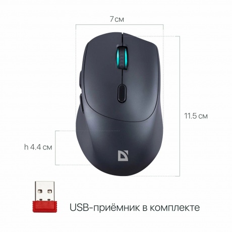 Мышь Defender MS-095 BLACK (52095) - фото 1
