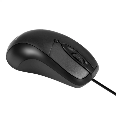 Мышь ExeGate Professional Standard B100L (EX298196RUS) черная