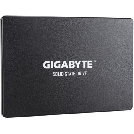 Накопитель SSD GigaByte 256Gb (GP-GSTFS31256GTND) - фото 1