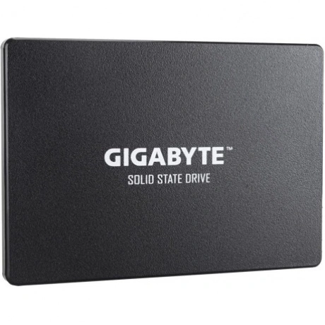 Накопитель SSD GigaByte 256Gb (GP-GSTFS31256GTND)