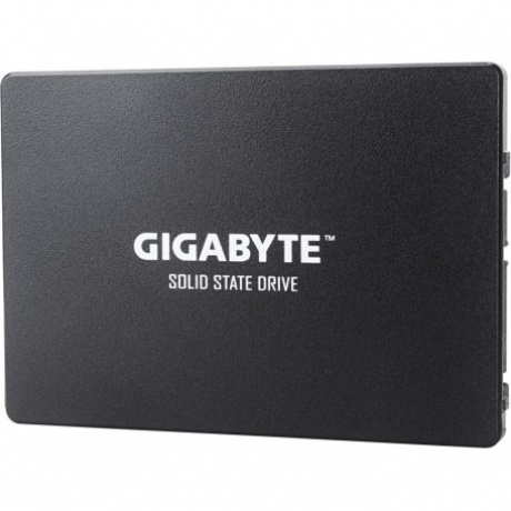 Накопитель SSD GigaByte 256Gb (GP-GSTFS31256GTND) - фото 3