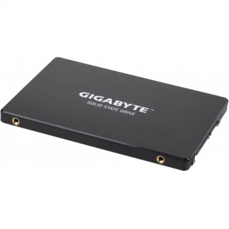 Накопитель SSD GigaByte 256Gb (GP-GSTFS31256GTND) - фото 4