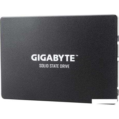 Накопитель SSD Gigabyte 1Tb (GP-GSTFS31100TNTD) - фото 1