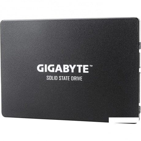 Накопитель SSD Gigabyte 1Tb (GP-GSTFS31100TNTD)