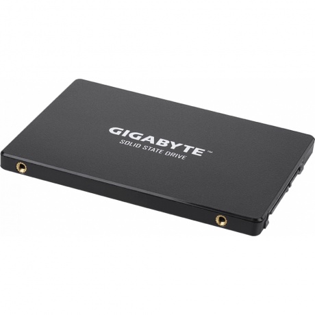 Накопитель SSD Gigabyte 1Tb (GP-GSTFS31100TNTD) - фото 2