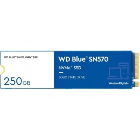Накопитель SSD Western Digital 250GB (WDS250G3B0C) - фото 1