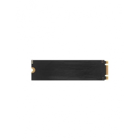 Накопитель SSD AMD 256Gb (R5M256G8) - фото 2