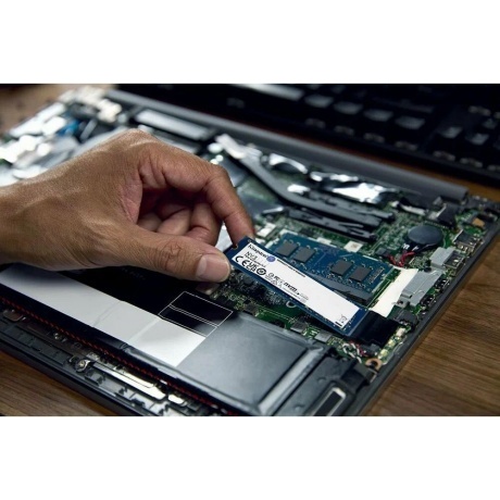 SSD диск Kingston NV3 1TB (SNV3S/1000G) - фото 6