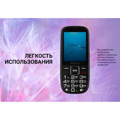 Мобильный телефон MAXVI B9 RED - фото 21
