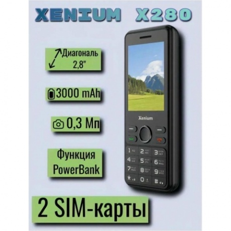 Мобильный телефон Xenium X280 Black - фото 18