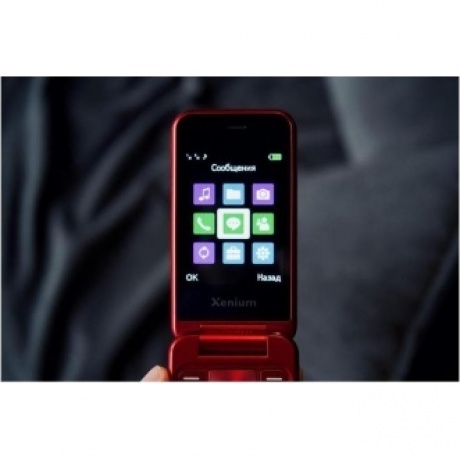 Мобильный телефон Xenium X680 Red - фото 20
