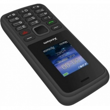 Мобильный телефон Xenium X175 Black - фото 2
