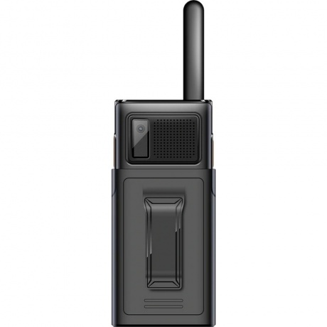Мобильный телефон BQ 2010 Talkie Black - фото 2