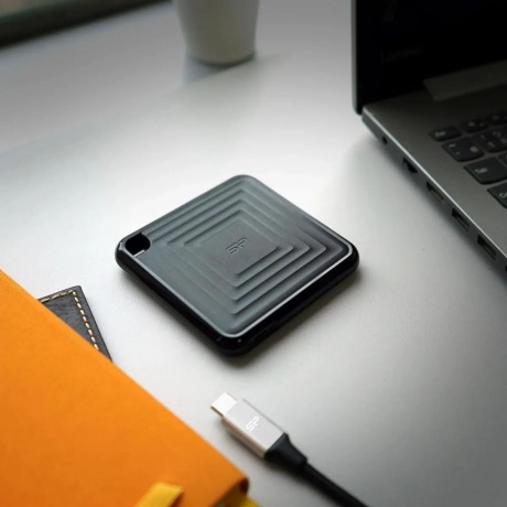 Внешний SSD Silicon Power 256Gb PC60 (SP256GBPSDPC60CK) - фото 23