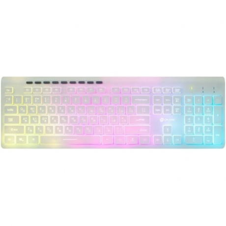 Клавиатура Oklick 490ML белый USB - фото 1