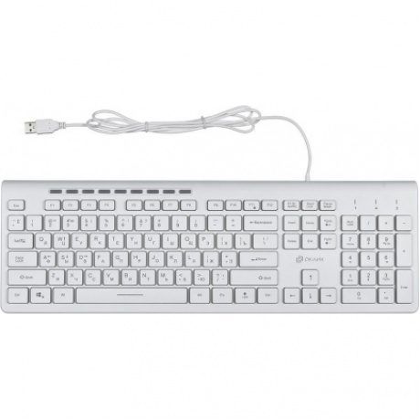 Клавиатура Oklick 490ML белый USB - фото 7