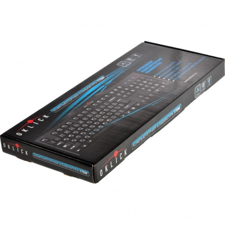 Клавиатура Oklick 170M черный USB - фото 6