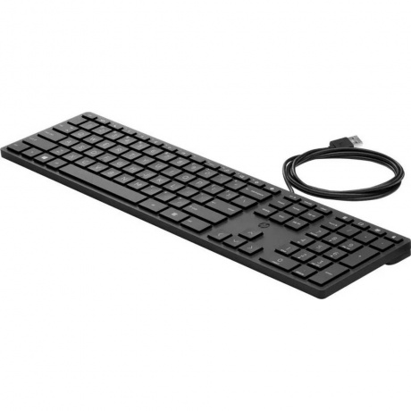 Клавиатура HP Wired Desktop 320K (9SR37UT) black - фото 2