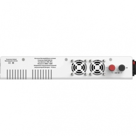 ИБП Powerman Smart 1000 INV Shuko line-interactive (6121422) - фото 3