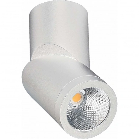 ST650.532.10 Светильник потолочный Белый LED 1*10W 3000K 800LmRa