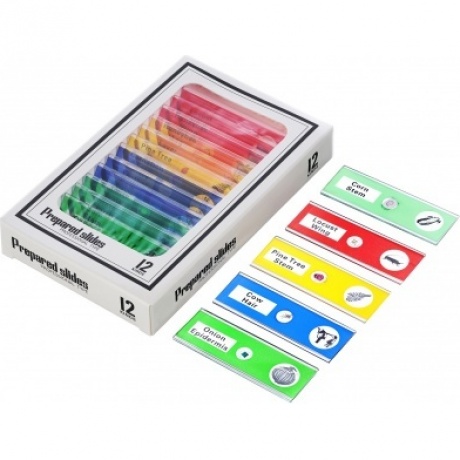 Микроскоп цифровой Levenhuk LabZZ DM200 LCD - фото 5