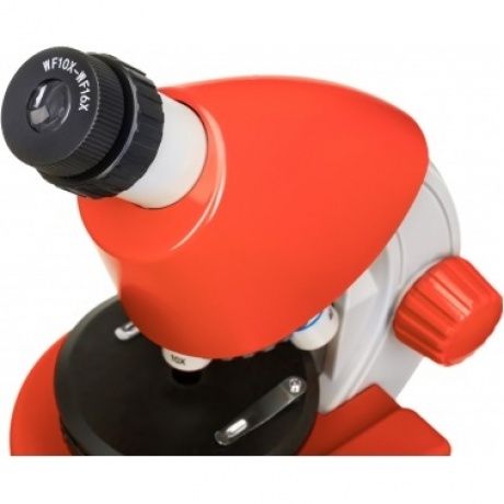 Микроскоп Discovery Micro Terra с книгой - фото 11