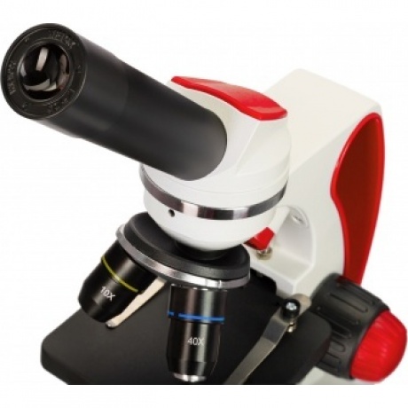 Микроскоп Discovery Pico Terra с книгой - фото 11