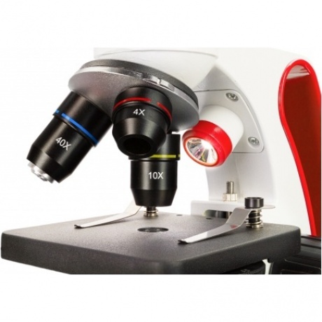 Микроскоп Discovery Pico Terra с книгой - фото 13