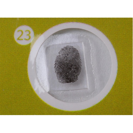 Набор микропрепаратов Levenhuk LabZZ P12, растения - фото 7