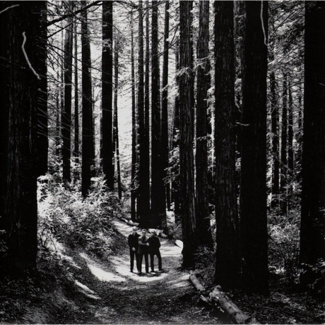 Depeche Mode - Sounds Of The Universe (0889853370313) виниловая пластинка - фото 9