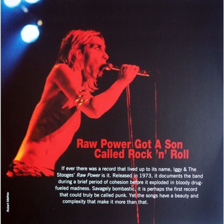 The Stooges - Raw Power (0889853751716) виниловая пластинка - фото 9