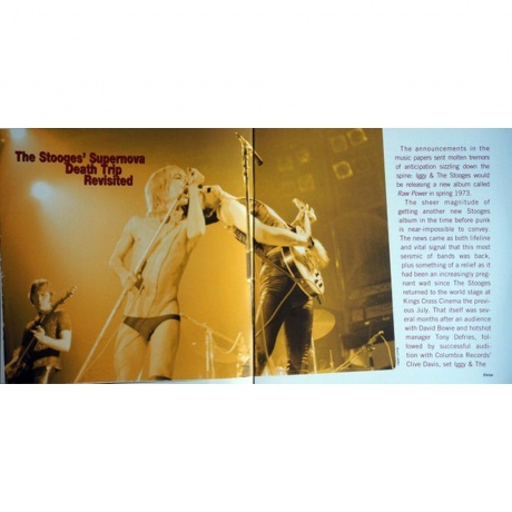 The Stooges - Raw Power (0889853751716) виниловая пластинка - фото 10