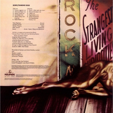 David Bowie - Diamond Dogs (0190295990404) виниловая пластинка - фото 2