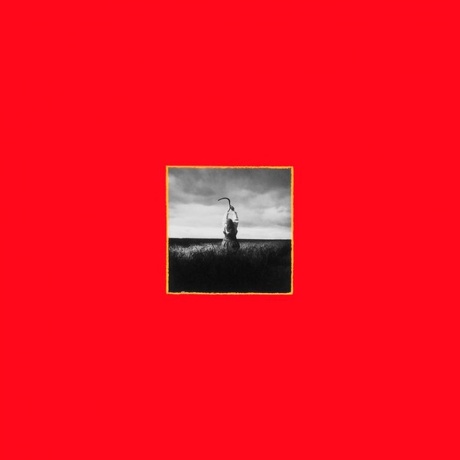 Depeche Mode - A Broken Frame (0889853299317) виниловая пластинка - фото 8