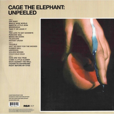 Cage The Elephant - Unpeeled (0889854281915) виниловая пластинка - фото 4